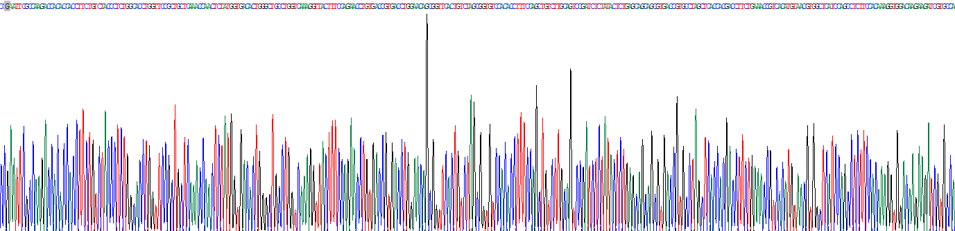 Recombinant Immunoglobulin G1 (IgG1)