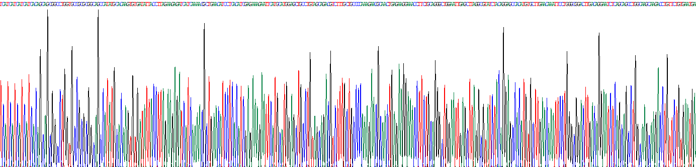 Recombinant Interleukin 4 (IL4)
