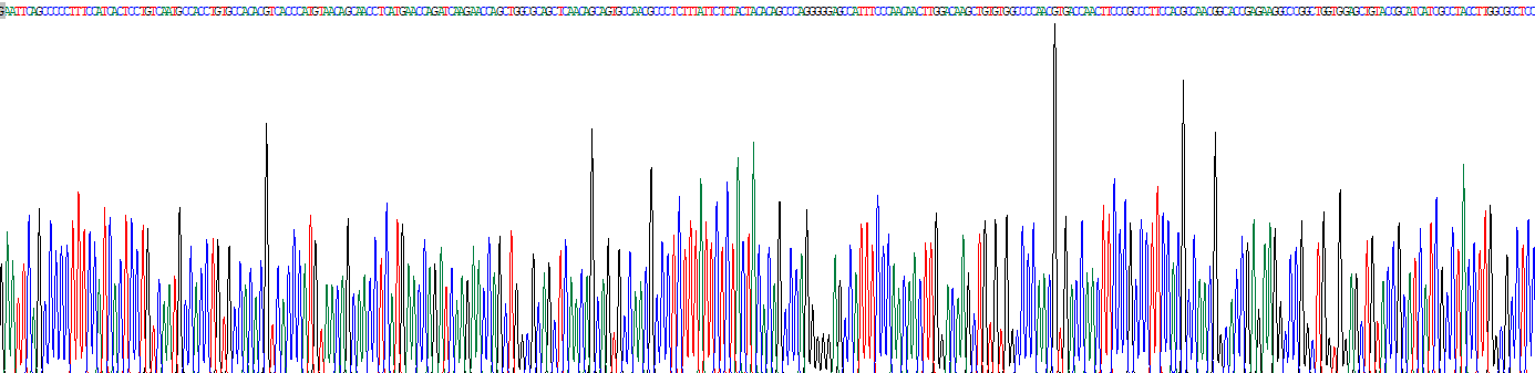 Recombinant Leukemia Inhibitory Factor (LIF)