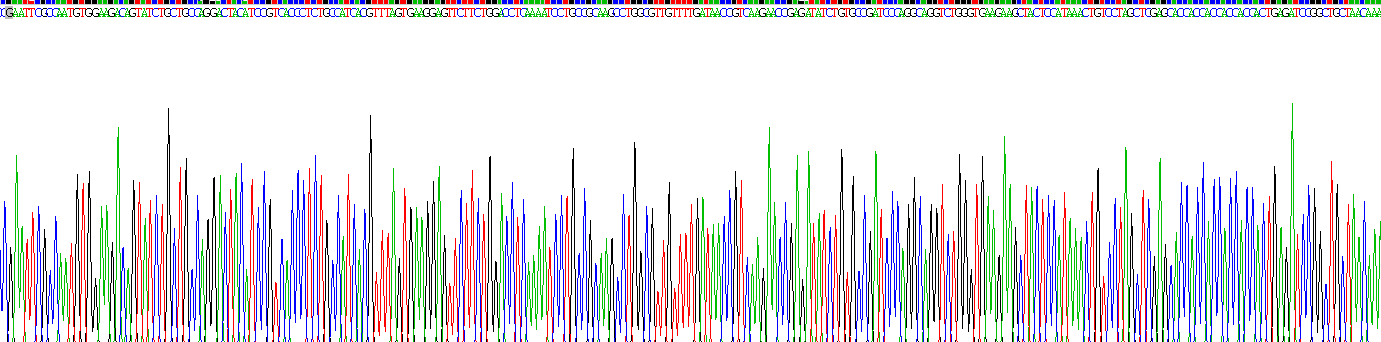 Recombinant Macrophage Derived Chemokine (MDC)