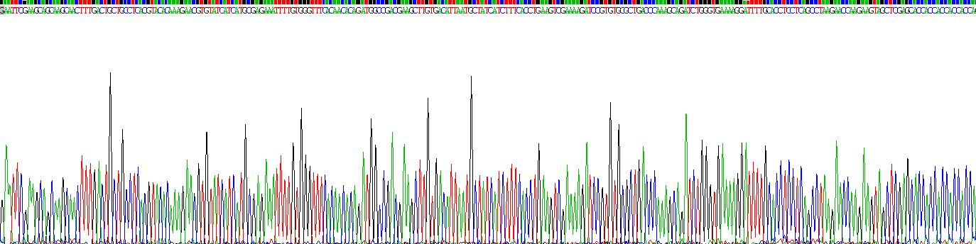 Recombinant Macrophage Inflammatory Protein 3 Alpha (MIP3a)