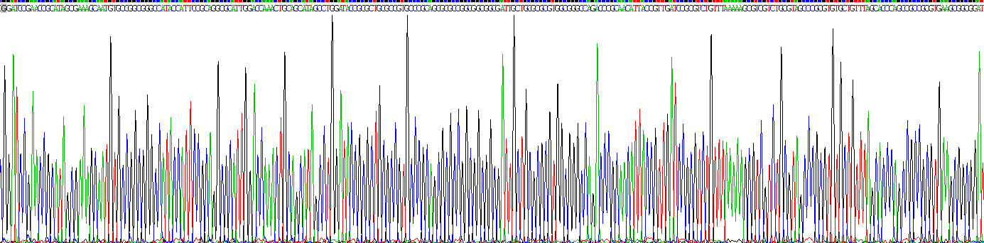 Recombinant Nerve Growth Factor (NGF)