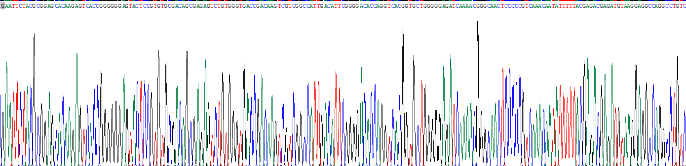 Recombinant Neurotrophin 3 (NT3)