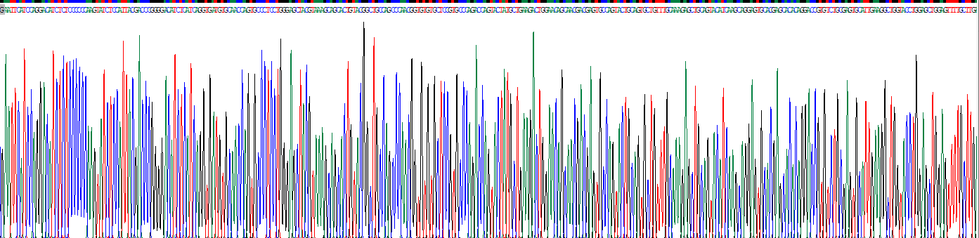 Recombinant Osteoprotegerin (OPG)