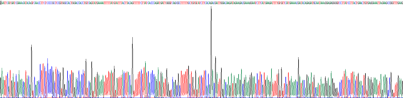 Recombinant Cluster Of Differentiation 40 Ligand (CD40L)