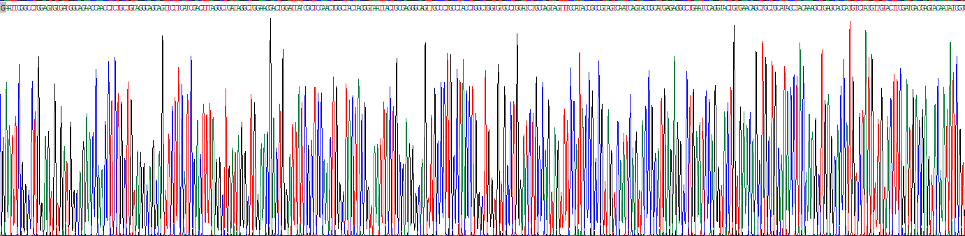 Recombinant Activin B (ACVB)