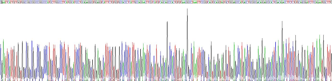 Recombinant Neutrophil Elastase (NE)