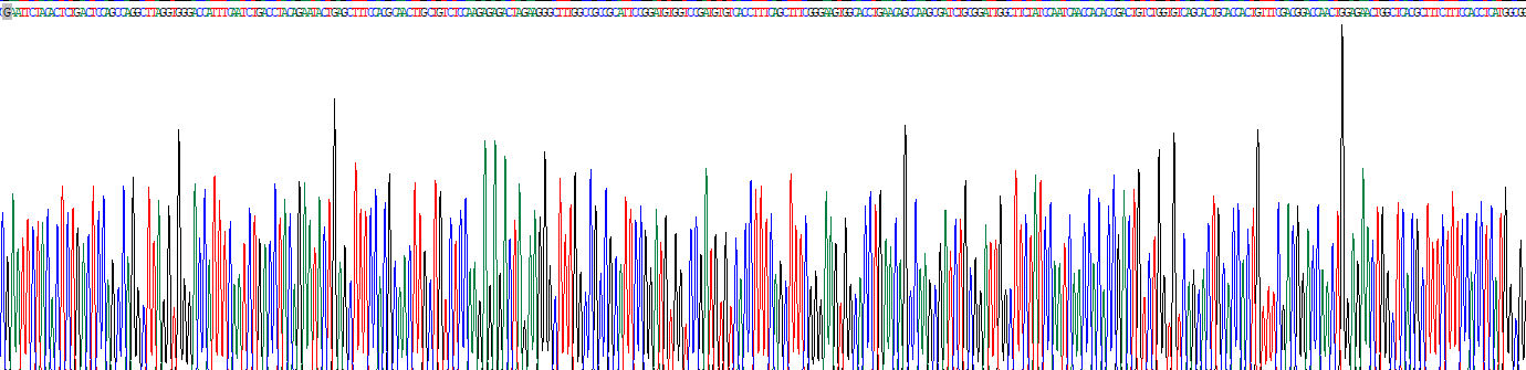 Recombinant Matrix Metalloproteinase 23A (MMP23A)