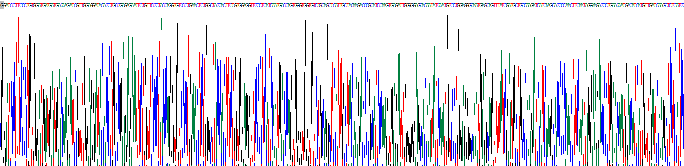 Recombinant Protease, Serine 1 (PRSS1)