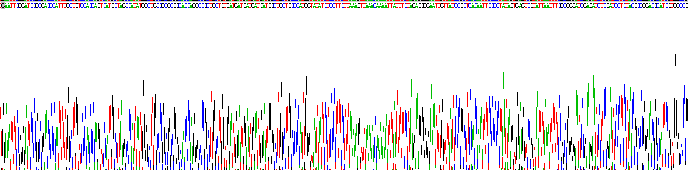 Recombinant Urocortin (UCN)