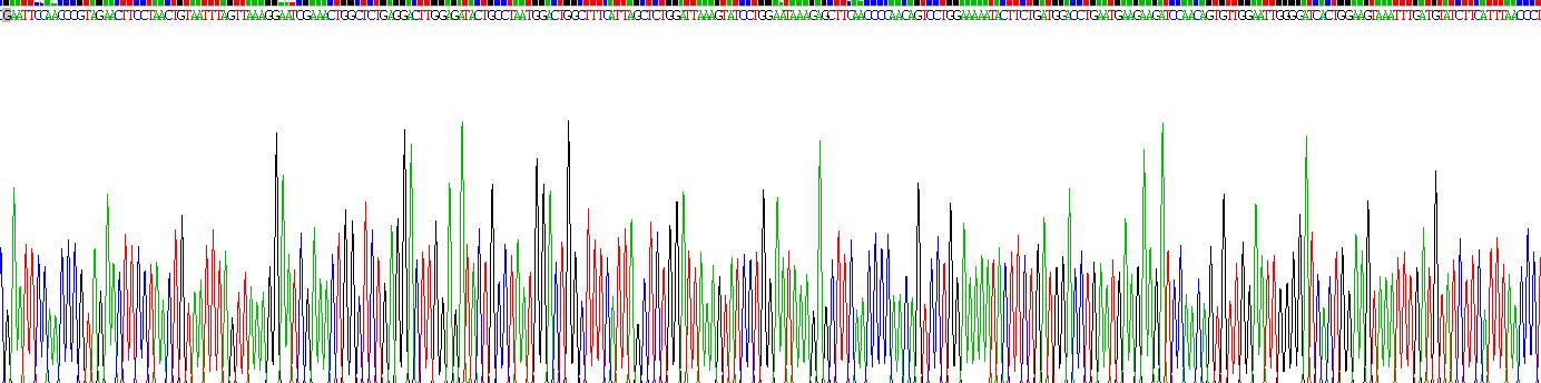 Recombinant Paraoxonase 1 (PON1)