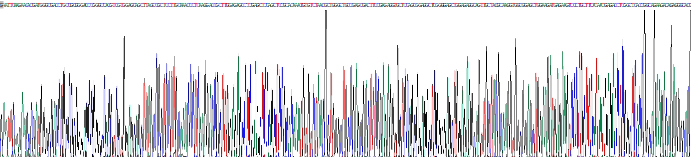 Recombinant Neuronal Pentraxin II (NPTX2)