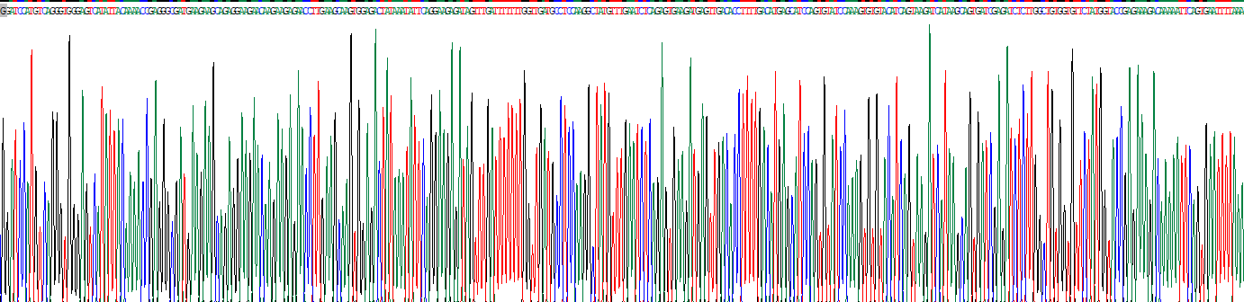 Recombinant X-Ray Repair Cross Complementing 6 (XRCC6)