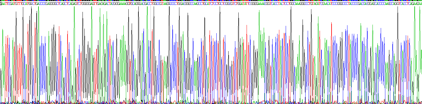 Recombinant Microtubule Associated Protein 1A (MAP1A)