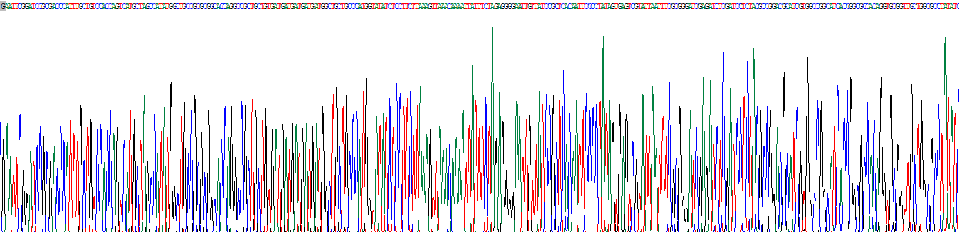 Recombinant Collagen Type I Alpha 1 (COL1a1)