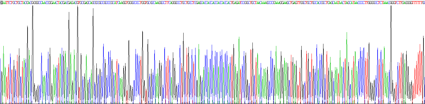 Recombinant Complement Component 5a (C5a)