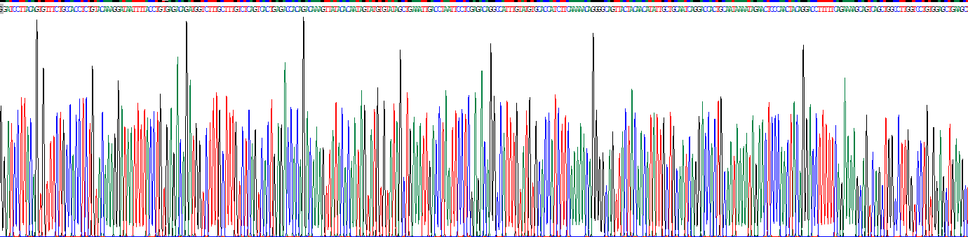 Recombinant Transforming Growth Factor Beta Receptor I (TGFbR1)