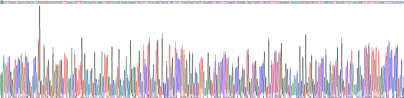 Recombinant Insulin (INS)