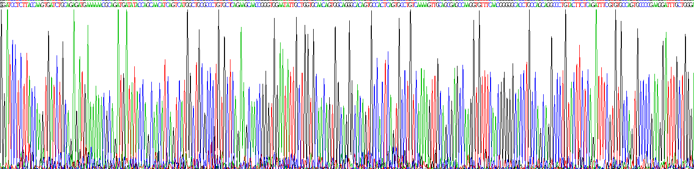 Recombinant Tissue Plasminogen Activator (tPA)