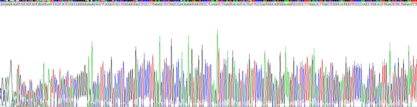 Recombinant Intercellular Adhesion Molecule 1 (ICAM1)