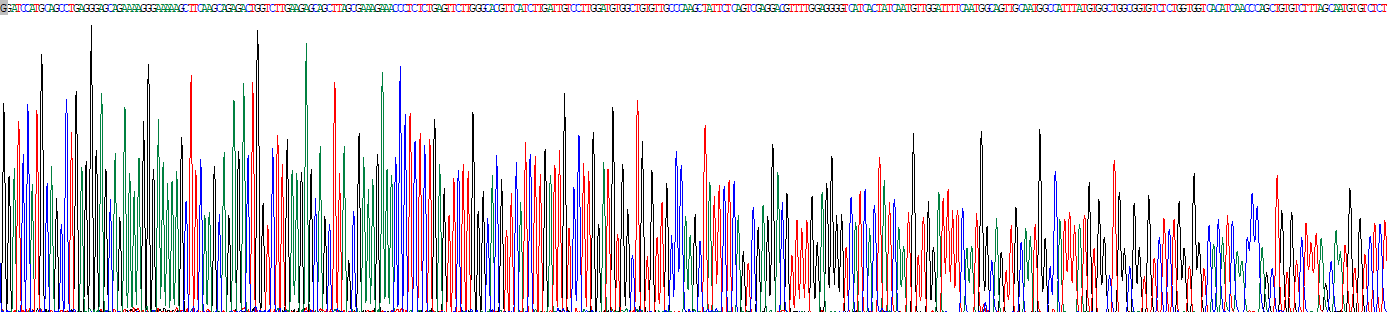 Recombinant Aquaporin 9 (AQP9)