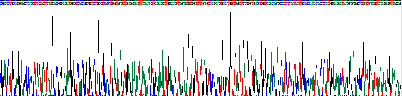 Recombinant Glutathione S Transferase Alpha 1 (GSTa1)