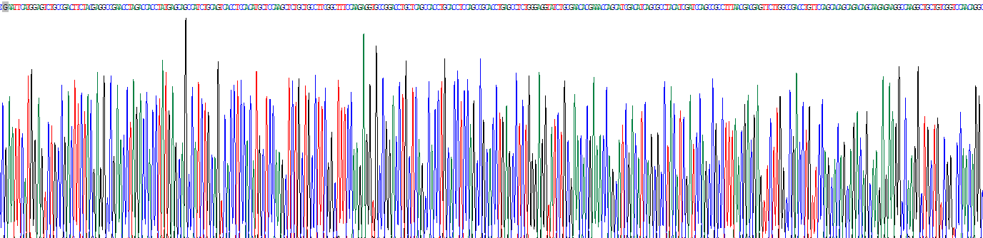 Recombinant CCAAT/Enhancer Binding Protein Alpha (CEBPa)
