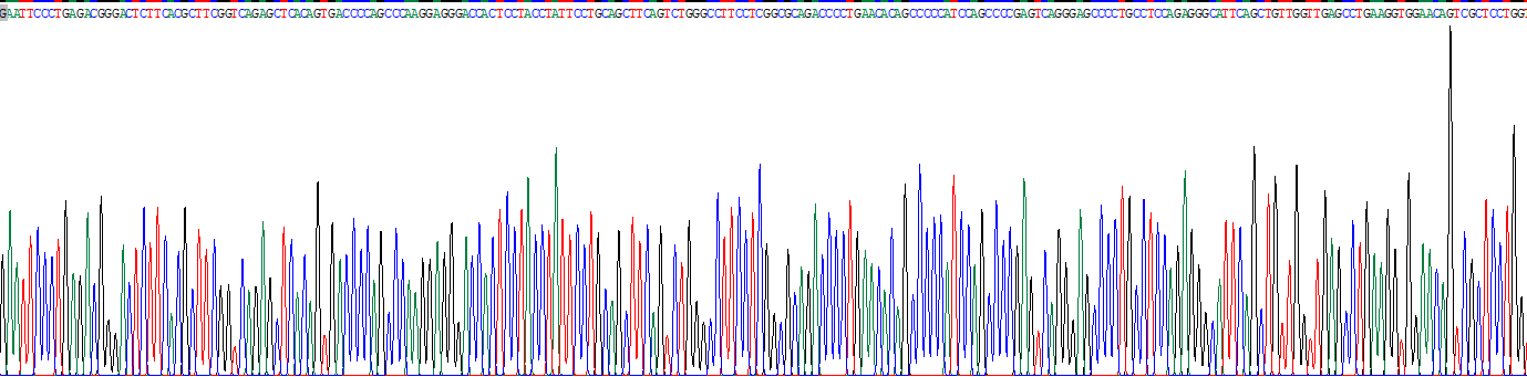 Recombinant Receptor For Advanced Glycation Endproducts (RAGE)