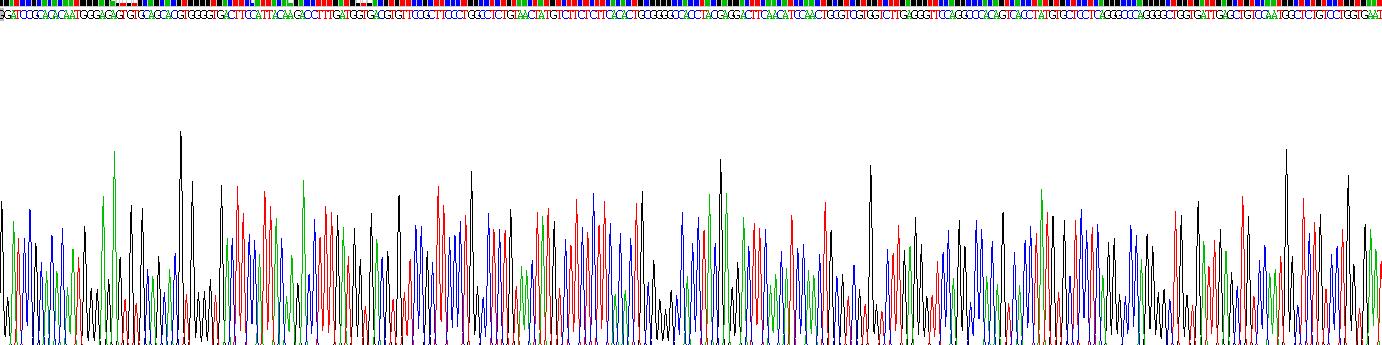 Recombinant Mucin 5 Subtype B (MUC5B)