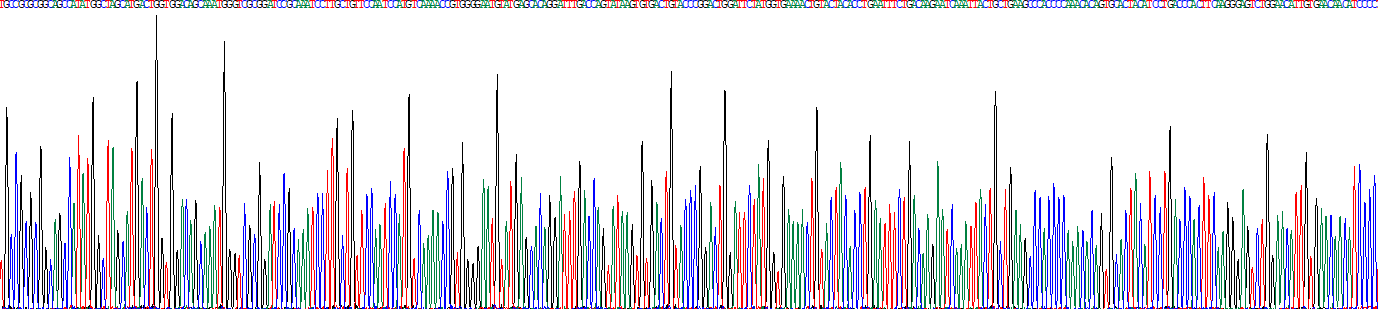 Recombinant Cyclooxygenase-2 (COX 2)