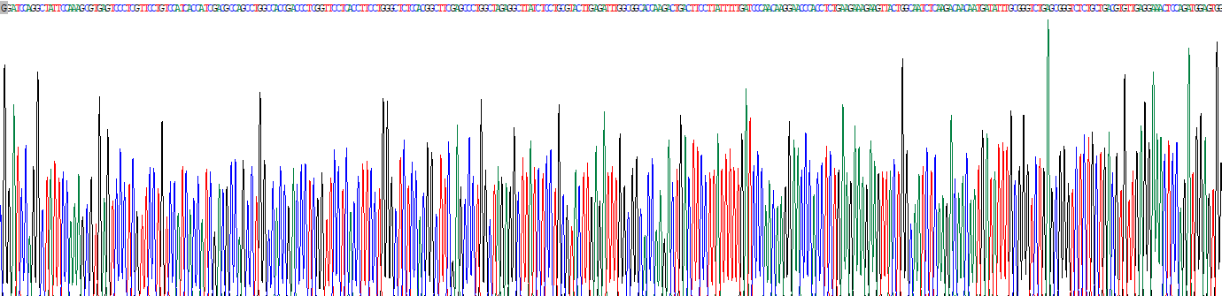 Recombinant Heparanase (HPSE)