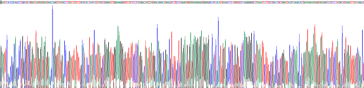 Recombinant Hypoxanthine Phosphoribosyltransferase 1 (HPRT1)