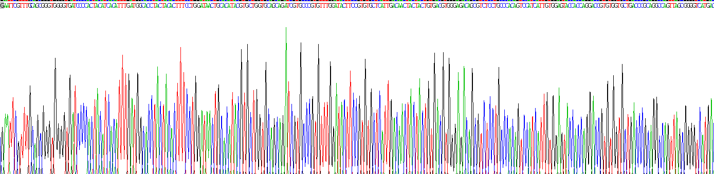 Recombinant Mucin 5 Subtype AC (MUC5AC)