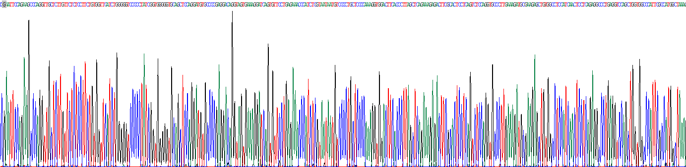 Recombinant Complement C3 Convertase (C3 Convertase)