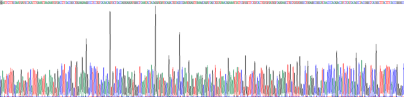 Recombinant Pyruvate dehydrogenase alpha 1 (PDHA1)