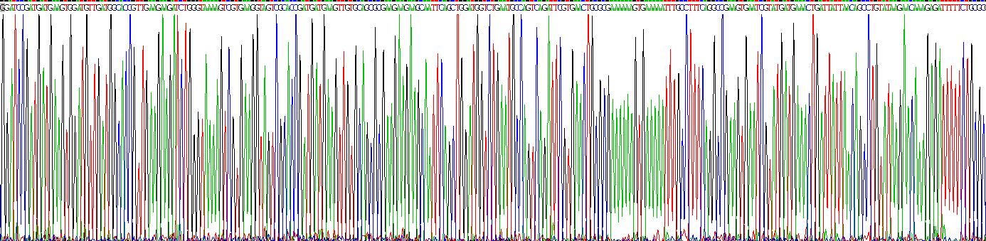 Recombinant Heat Shock Protein 90kDa Beta 1 (HSP90b1)