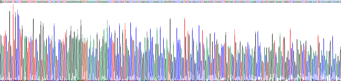 Recombinant Nitric Oxide Synthase 2, Inducible (NOS2)