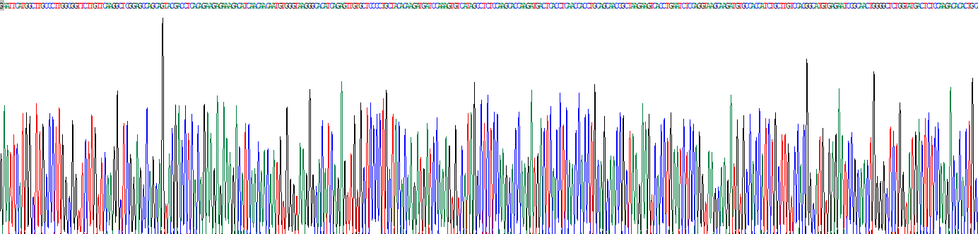 Recombinant Nitric Oxide Synthase 2, Inducible (NOS2)