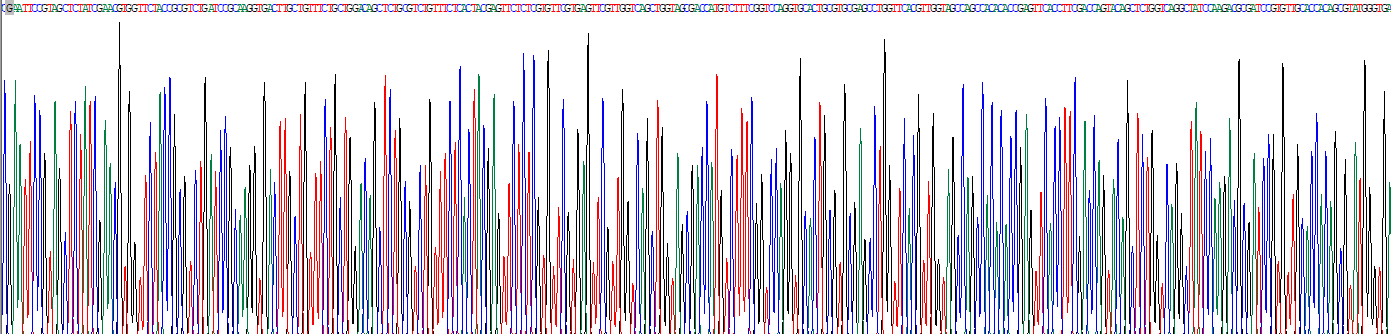 Recombinant Von Willebrand Factor A Domain Containing Protein 1 (vWA1)