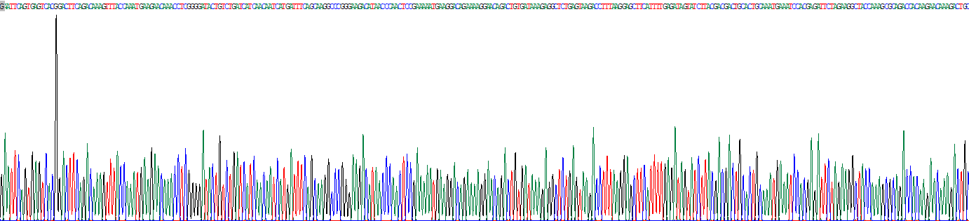 Recombinant Caspase 8 (CASP8)