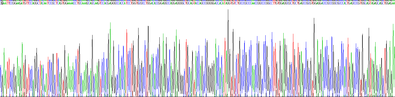 Recombinant Endothelial NOS (eNOS)