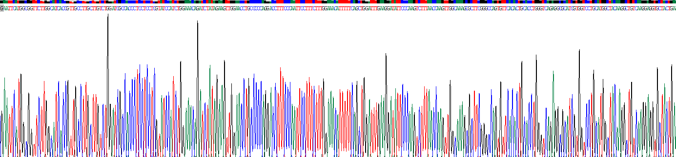 Recombinant Cytochrome P450 2E1 (CYP2E1)