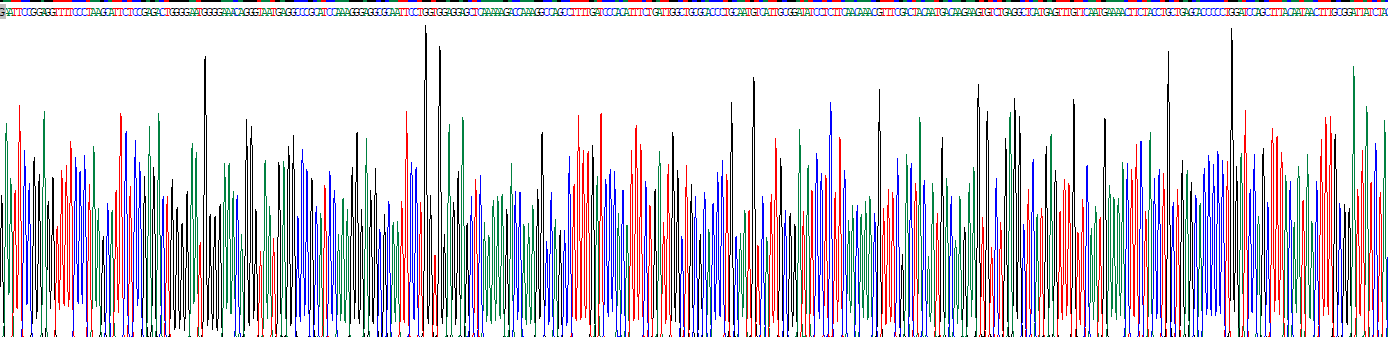 Recombinant Cytochrome P450 2E1 (CYP2E1)