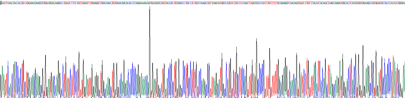 Recombinant Coagulation Factor XIII A1 Polypeptide (F13A1)