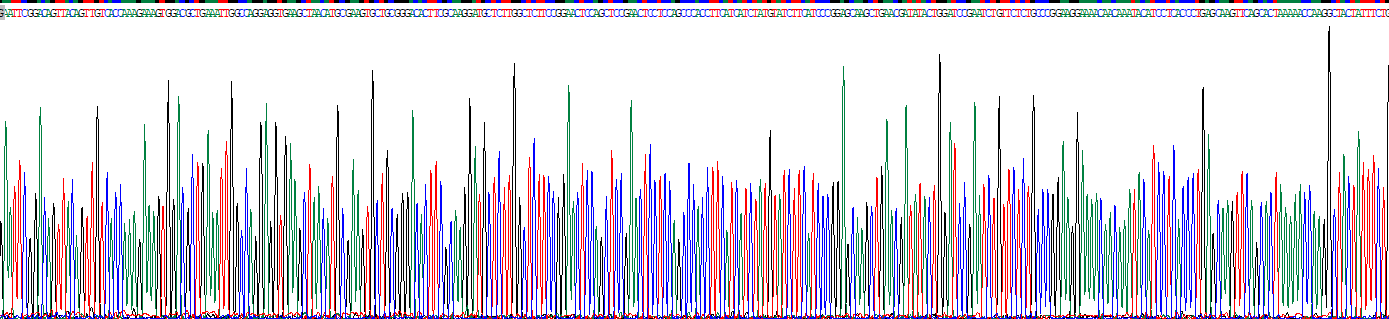 Recombinant Cluster Of Differentiation 8a (CD8a)
