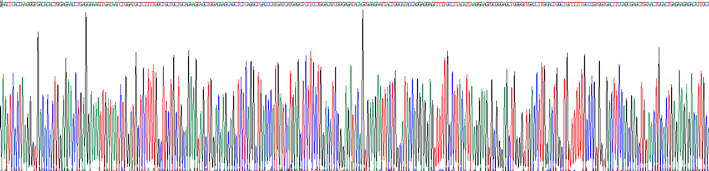 Recombinant Transferrin Receptor (TFR)
