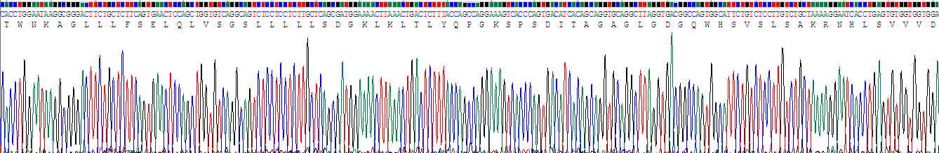 Recombinant Contactin-associated protein-like 4 (CNTNAP4)