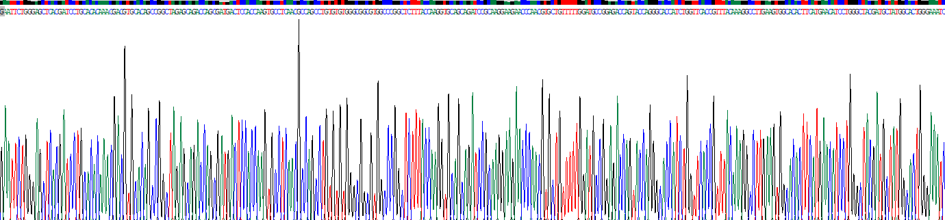Recombinant Cluster Of Differentiation 73 (CD73)