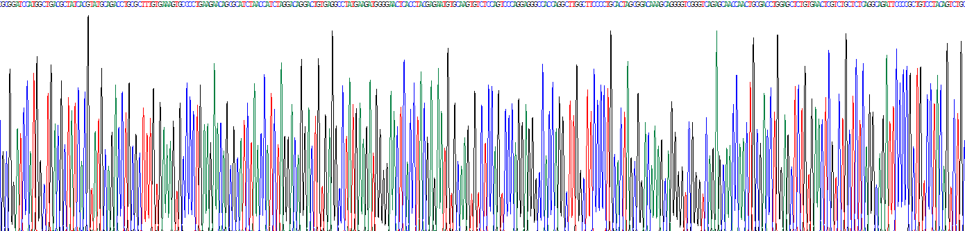 Recombinant Cluster Of Differentiation 72 (CD72)