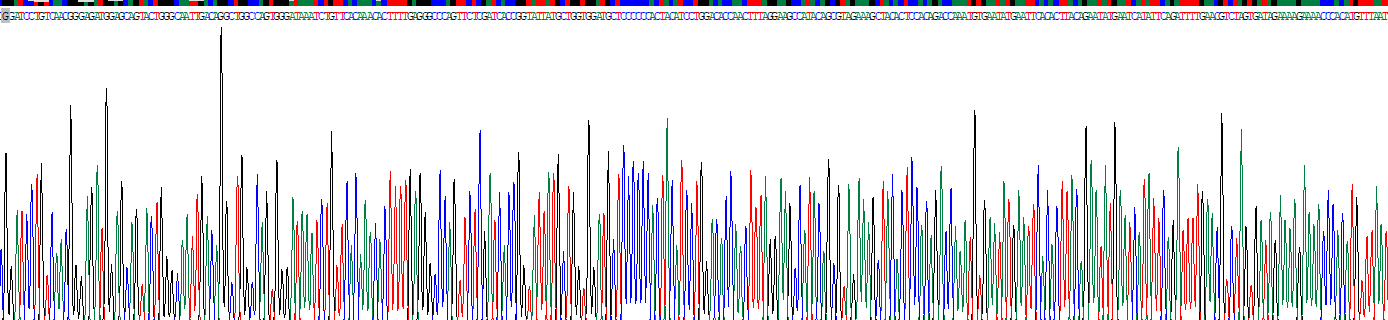 Recombinant Complement Component 8b (C8b)